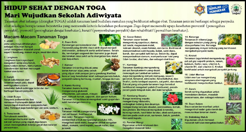 MARI WUJUDKAN SEKOLAH ADIWIYATA 